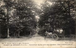 CPA Foret de Senart Carrefour de la Voie aux Vaches Une Contravention Gendarme