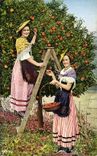 CPA Cote D'Azur Nicoises a la Cueillette des oranges Folklore Costume