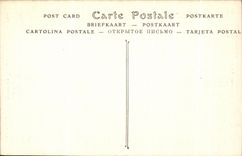 CPA Castle of Malmaison Grips