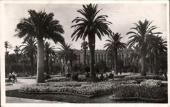 CPA Nice Les Noaveau Jardins