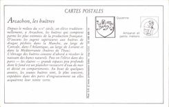REPRO Cole D'Argent Arcachon Dechargement des Huitres venant des Parcs