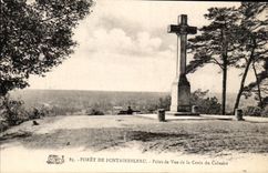CPA Drill De Fontainebleau Point of view of the Cross of the Martyrdom