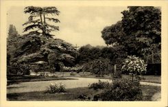 CPA Castle Of Malmaison Rosery And Cedre the Marengo one