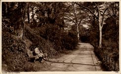 CPA Blaise Castle Woods