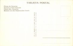 Flora MODERNA de la TARJETA de las flores de Canarias