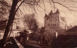 CPA Pau the Castle Henri IV of the Low Plant