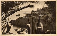 CPA La Douce France Cote D'Azur Le Trayas Les Rochers