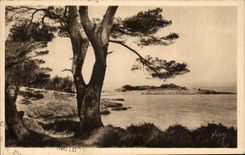 CPA La Douce France Cote D'Azur Les Iles D'Hyeres Porquerolles Bord De Mar