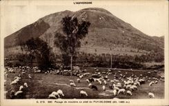 CPA Auvergne Pasturage Of Sheep To the Foot Of Puy De Dome