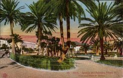 CPA Nice Gardens of the Palm trees Albert 1st