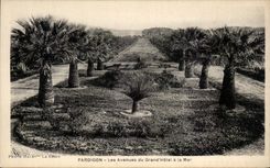 CPA Pardigon Avenues of the Large Hotel to the Sea