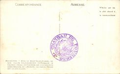 CPA Ferns Interior Of the Castle Raoul Turn