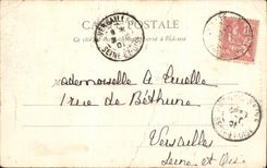 CPA Castle De Rosny the Park