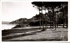 CPA Perros Guirec Fir plantation In Edge Of the Beach De Trestraou
