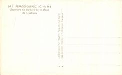 CPA Perros Guirec Fir plantation In Edge Of the Beach De Trestraou