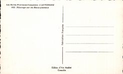 CPA Beautiful French Provinces Auvergne Pasture on the high plateaus Sheep