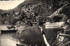 CPA Beautiful French Provinces Auvergne Surroundings of Besse On the edges of the Lake Pavin