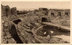 CPA La Douce France Cote D'Azur Frejus Les Arenes