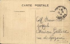 CPA Nice Jardins des Palmiers et le Casino