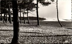 CPA Bassin D'Arcachon Pyla Sur Mer Les Dunes Vue A Travers Les Pins Place Meller 
