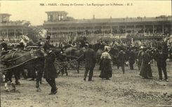 REPRO Paris Racecourse Crews on the Lawn Hippisme Horses