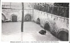 CPA Paris Innonde La Fosse aux Ours Jardin des plantes