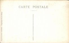 CPA las aves de Guinea de Day Of