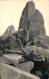 CPA National Museum Of Natural history Zoological gardens Of Wood De Vincennes Paris Elephant