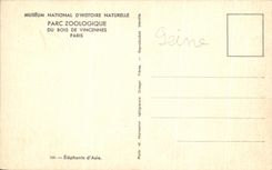 CPA National Museum Of Natural history Zoological gardens Of Wood De Vincennes Paris Elephant