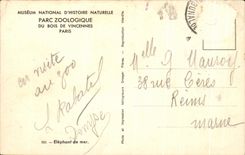 CPA National Museum Of Natural history Zoological gardens Of Wood De Vincennes Paris Elpehant of sea