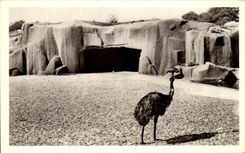 CPA Paris Jardin Zologique de Vincennes Move Them and the Rock