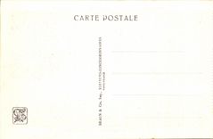 International CPA Expostion Colonial Paris 1931 Zoological gardens Lion and lionesses