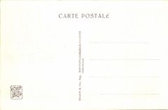 International CPA Expostion Colonial Paris Zoological gardens Lion and lionesses