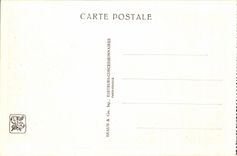 International CPA Expostion Colonial Paris Zoological gardens Elephants