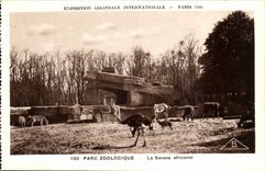 International CPA Expostion Colonial Paris Park Zoologique La African savanna Ostriches Zebras