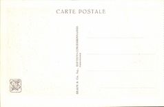 International CPA Expostion Colonial Paris Zoological gardens the Enclosure of the Zebras ostrich