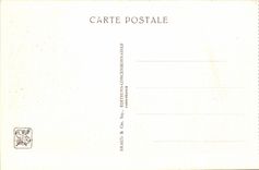 International CPA Expostion Colonial Paris Zoological gardens Ostriches