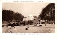 International CPA Expostion Colonial Paris Zoological garden the Beach of Africane Savanna