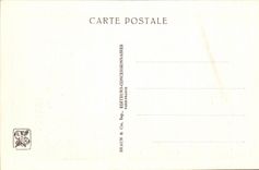 International CPA Expostion Colonial Paris Zoological gardens the Rock of the Monkeys