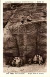 International CPA Expostion Colonial Paris Zoological gardens Monkeys in the Rocks