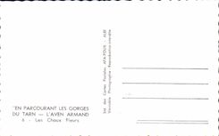 CPA By Traversing the Falls Of the Tarn the Swallow-hole Armand the cabbages flowers