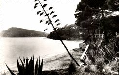 CPSM Le Canadel En Face Le Cap Negre