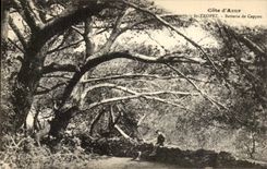 CPA Cote d'Azur St Tropez Batterie De Cappon