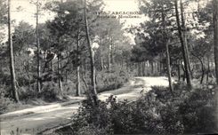 CPA Arcachon Route de Moulleau