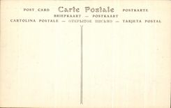 CPA Chateau de Chambord Les Terrasses et les Combles vue prise a vol d'oiseau