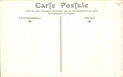 CPA Cathedral De Laon Capitals Of Column Of the Triforium