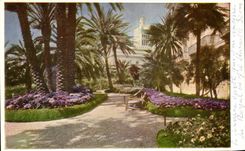 CPA San Remo Hotel Royal Autocromie Nebbia