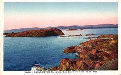 CPA Saint Raphael Les Lions de Terre et de Mer