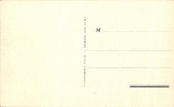 CPA Saint Raphael Les Lions de Terre et de Mer