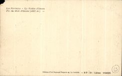 CPA Les Pyrenees La Vallee d'Ossau Pic Du Midi D'Ossau